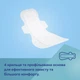 Прокладки послеродовые с крылышками ночные 8 шт Canpol babies (5901691879065) - изображение 9