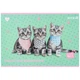 Набір альбомів для малювання Kite Studio Pets 12 аркушів A4 на скобі 20 шт (SP25-241) - зображення 3