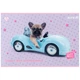Набір альбомів для малювання Kite Studio Pets 12 аркушів A4 на скобі 20 шт (SP25-241) - зображення 5
