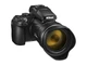Фотоапарат Nikon Coolpix P1100 Black (VQA170EA) - изображение 8