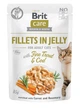 Корм вологий Brit Care Cat Pouch для дорослих котів філе з тріскою та фореллю в желе 85 г - зображення 1