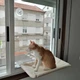 Подвесная оконная кровать для кота 55х35см. Подвесной гамак для кошки. Лежак оконный для кошки. Место сна для - изображение 3