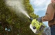 Обприскувач-розпилювач Ryobi акумуляторний ОNE+ RY18FGA-0 2л 18В 0.12л/хв 2.8кг без АКБ та ЗП (5133004912) - зображення 7