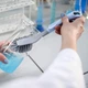 Щітка VENUS BACTERIA STOP для миття посуду, ТМ York - зображення 4