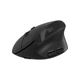 Мышка Canyon MW-25 LED Silent Wireless/tooth (m468081) - изображение 2
