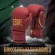 Боксерські рукавиці Leone GN059X BORDEAUX ED 10 унцій (капу в комплекті) - изображение 2