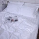Комплект постельного белья MirSon Satin ELIT Royal Pearl 200 x 220 см (2200000037282) - изображение 3