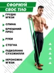 Фитнес петля U-Powex Pull Up Assist Band, зеленая (23-56 кг) (12052042015) - изображение 3