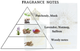 Woda perfumowana unisex House of Perfumes Glorious Oud Musk 100 ml (6297789996356) - obraz 3