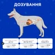 Комбіфлор пробіотик (Kombiflor Probiotic) порошок для підтримки балансу мікрофлори кишечника собак та котів MODES - изображение 3