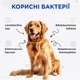 Комбіфлор пробіотик (Kombiflor Probiotic) порошок для підтримки балансу мікрофлори кишечника собак та котів MODES - изображение 4