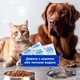 Комбіфлор пробіотик (Kombiflor Probiotic) порошок для підтримки балансу мікрофлори кишечника собак та котів MODES - изображение 5