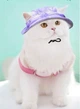 Панама для животных "OMMY" Purple Size М - изображение 3
