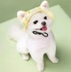 Панама для собак и кошек "OMMY" Yellow Size L - изображение 9
