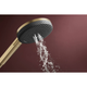 Лейка ручного душу HANSGROHE RAINDANCE ALIVE 24500140, бронза сатин - зображення 3