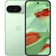 Смартфон Google Pixel 9 12/128GB Wintergreen JP - зображення 1