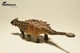 Анкілозавр магнівентрис Ankylosaurus magniventris EoFauna 00712 - изображение 1