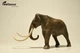 Колумбійський мамонт Mammuthus columbi EoFauna 00710 - изображение 1