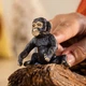 Дитинча шимпанзе фігурка Schleich 14884 - зображення 2