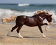 Поні Чінкотіг Surfer's Riptide traditional Breyer 10289 - изображение 1