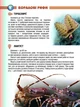 Книга Мешканці морів та океанів - зображення 2