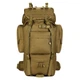 Рюкзак Protector Plus S422-65 з модульною системою Molle Coyote - зображення 1