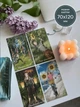 Карты Таро Orner «Сила природы» - изображение 3
