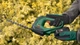 Ножницы для травы аккумуляторные AdvancedShear 18V-10 + насадка кусторез 10/20см шаг реза 8мм 1xP Bosch (2000003263929) - изображение 5