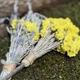 Обереговий набір з трав'яною зв'язкою та мітлою NN134 - зображення 1