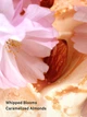 Спрей для тіла Victoria's Secret Velvet Petals Brulee Fragrance Mist 250 мл (27060003) - изображение 2