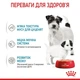 Влажный корм для щенков и кормящих собак Royal Canin Royal Starter Mousse 195 г (3+1) - изображение 4