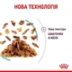 Влажный корм Royal Canin SENSORY FEEL in Jelly pouch для кошек в соусе 3 + 1 шт - изображение 3
