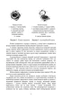 Військова топографія (курс індивідуальної підготовки). За програмою базової загальновійськової підготовки (для підготовки мобілізаційних ресурсів, версія 5, термін навчання 1,5 місяці) - зображення 5