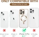 Чехол Wave Premium Metal Shining case with MagSafe (TPU) для Apple iPhone 13 Pro 6.1” Desert Titanium - зображення 7