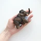 Молодий мамонт / Young mammoth Papo 55025 - зображення 4
