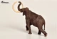Степовий мамонт Mammuthus trogontherii EoFauna 00700 - зображення 2