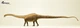Динозавр Диплодок Diplodocus EoFauna 00707 - изображение 3