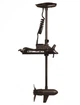Лодочный электромотор Haswing Cayman B 55 (HE-50700-137_B) - изображение 1