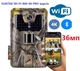 Фотоловушка Suntek Wi-Fi-900PRO-4K версия 36МП 4К до 256Gb с Bluetooth и удаленным управлением через приложение на смартфон - изображение 2
