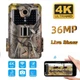Фотоловушка Suntek Wi-Fi-900PRO-4K версия 36МП 4К до 256Gb с Bluetooth и удаленным управлением через приложение на смартфон - изображение 4