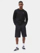 Свитшот на флисе мужской Dickies DK0A4XCEBLK1 XL Черный (194904327797) - изображение 3