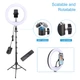 Тримач з кільцевим освітленням Bluetooth 12" YQ-320A light set (Kit2) | 170cm Stand, Plug Powered, 3000-6500K | - зображення 2