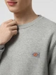 Свитшот на флисе мужской Dickies DK0A4XCEHG01 S Серый (198265574838) - изображение 4