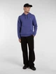 Худи утепленное мужское Dickies DK0A4XCDK421 M Синее (198265452839) - изображение 3