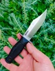 Нескладний ніж для прихованого носіння Cold Steel Leatherneck Mini Clip Point (CS-39LSAB) - зображення 5