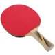 Ракетка для настольного тенниса Donic Legends 300 Fsc Black/Red 705234 MISC - изображение 5