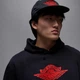 Худи Air Jordan Rare Air Black IB3003-010 S - изображение 3