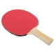 Ракетка для настольного тенниса Donic Legends 150 Fsc Black/Red 705211 MISC - изображение 3