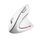 Мышка Trust Verto Ergonomic White (25132) - изображение 1