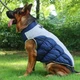 Жилетка для собак Диего 4XL Синий - изображение 8